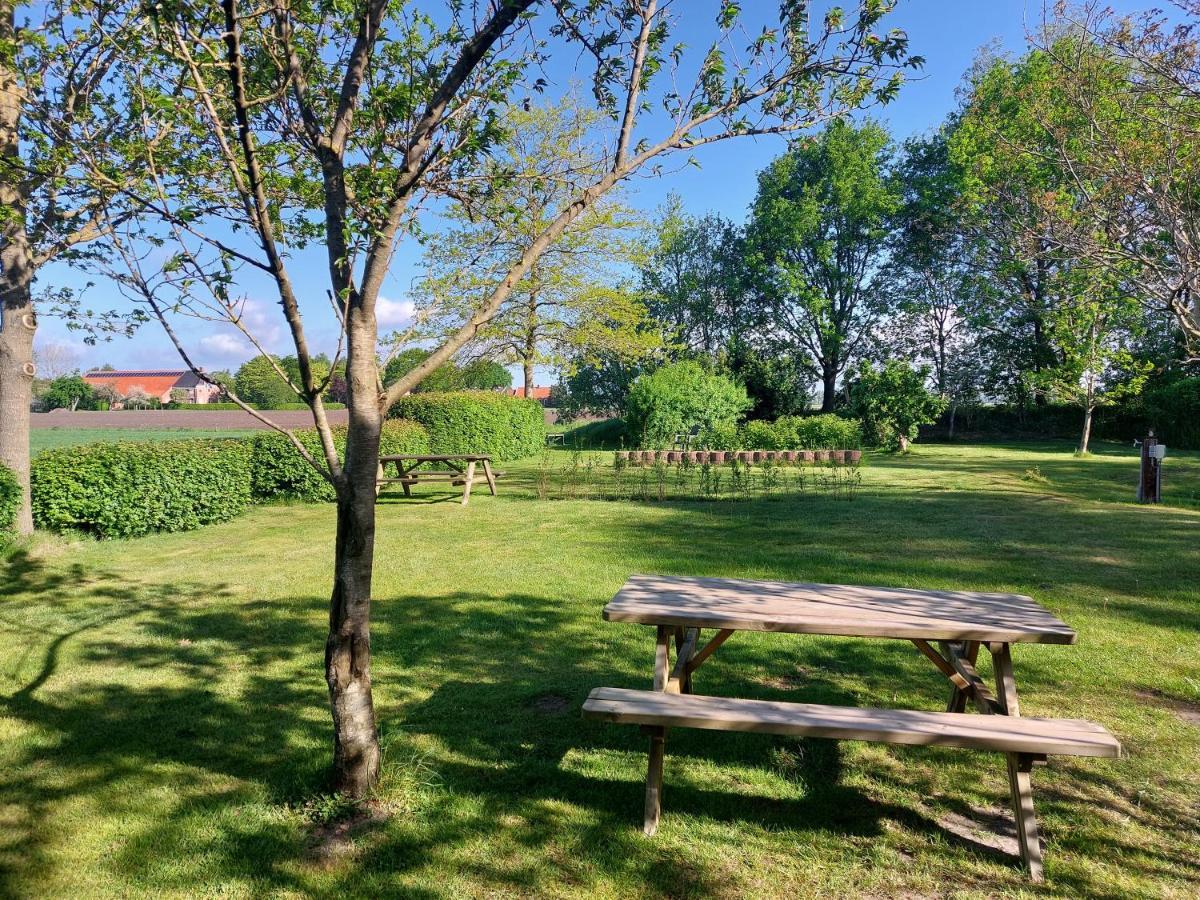 Slaaphuisjes Op Wielen Buitenwedde Westerwolde Exterior foto